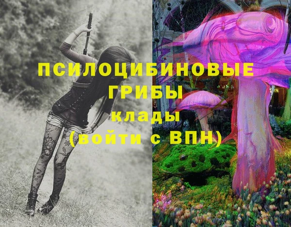 мдпв Горно-Алтайск