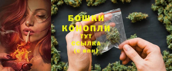 мдпв Горно-Алтайск